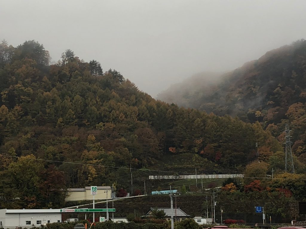 Densely wooded hills filled with fog.