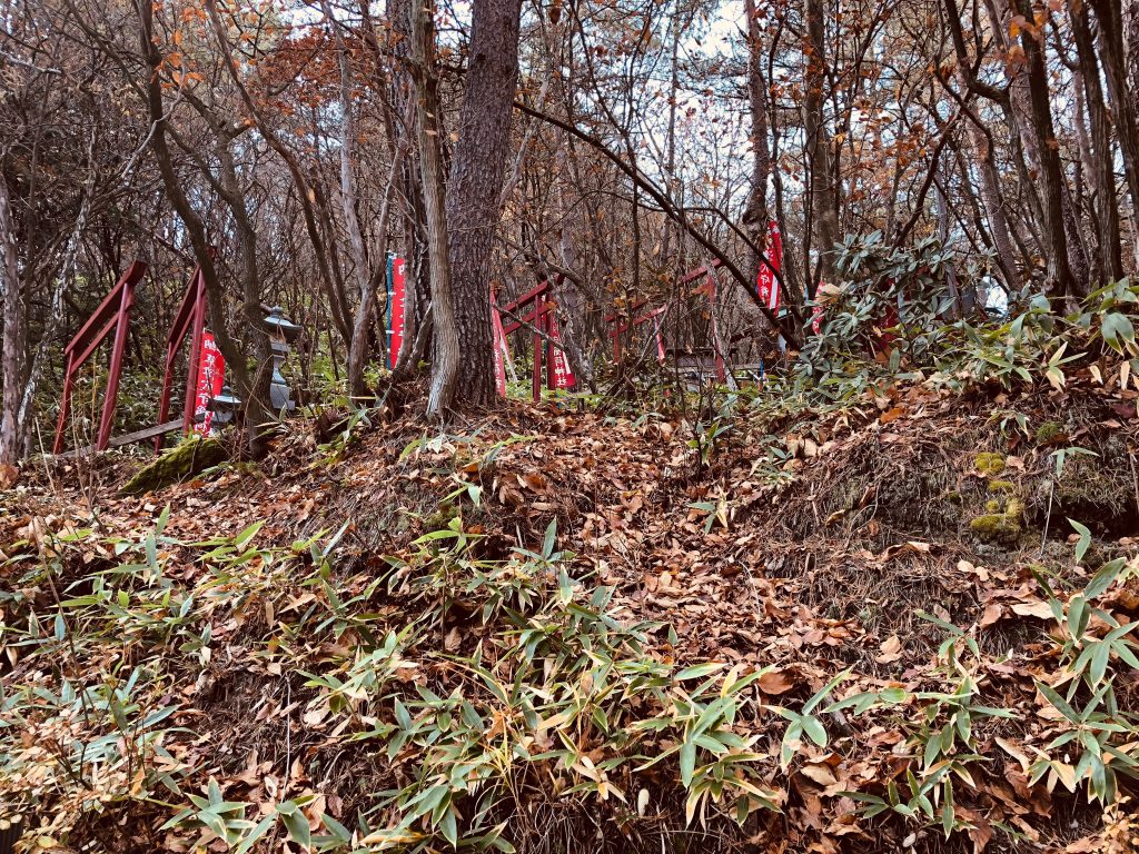 Another view of the torii-lined walkway through the trees.