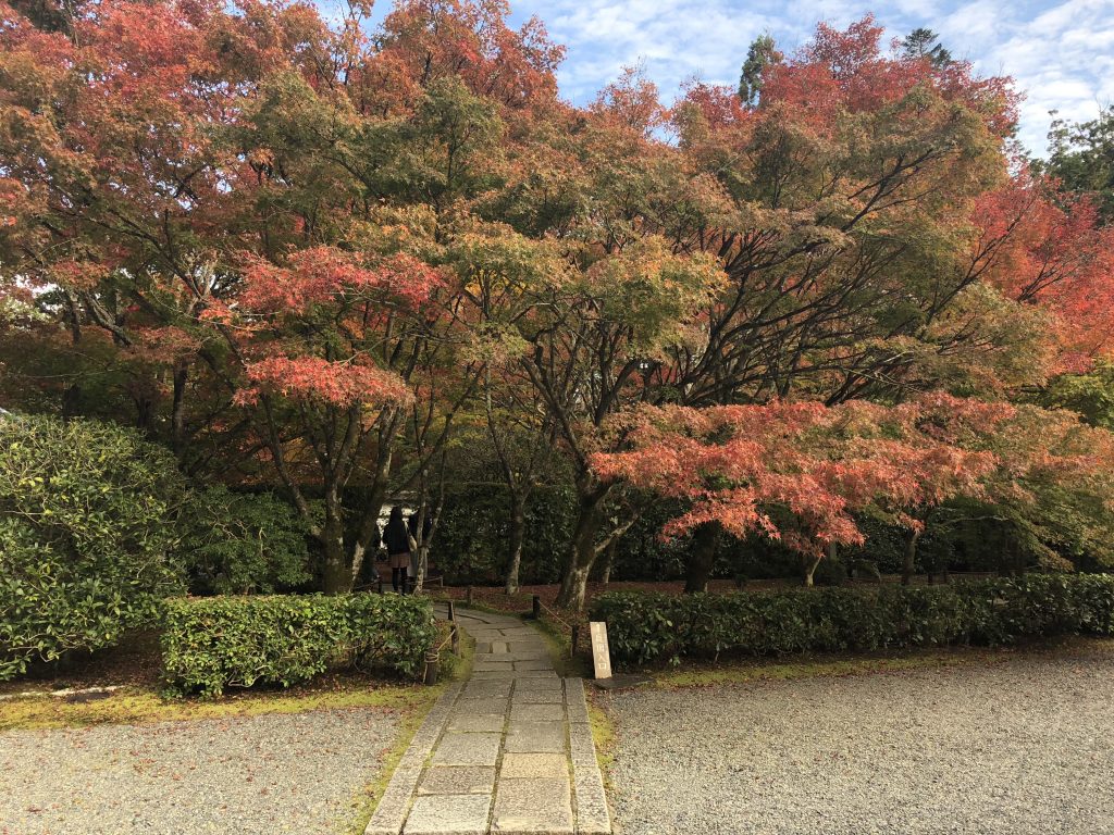 A stone path leading into some maple trees that are just turning red.