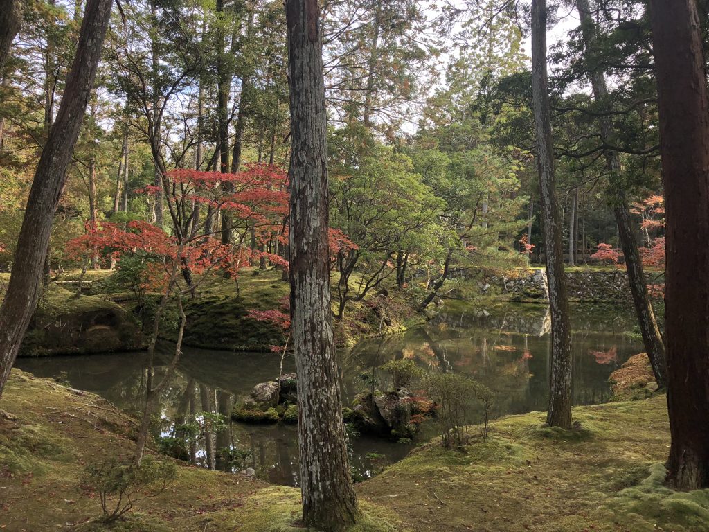 A small pond surrounded by moss.