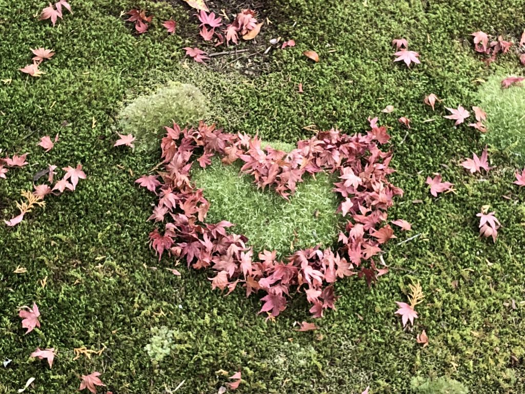 Someone moved the fallen maple leaves so that they form a red heart over the green moss.