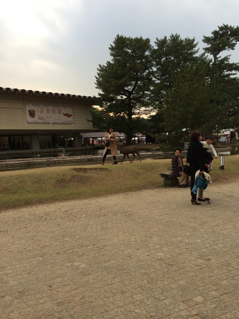 A picture of the outside of the museum. Also, a deer is biting a lady's coat in the background.