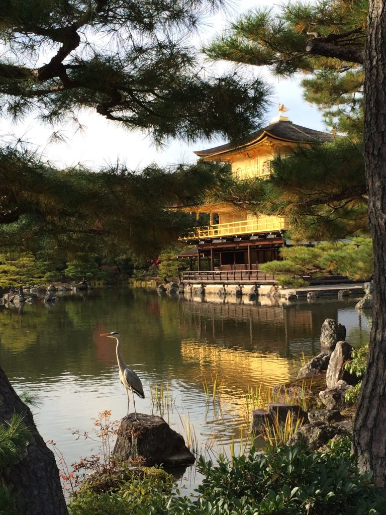 A pavilion coated in gold, viewed through a copse of trees. A heron perches on a rock in the foreground.