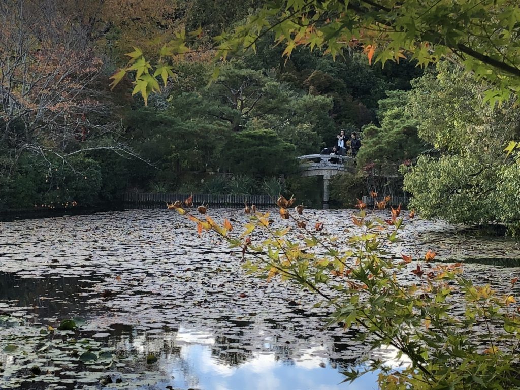 You can just see a bridge through the trees.