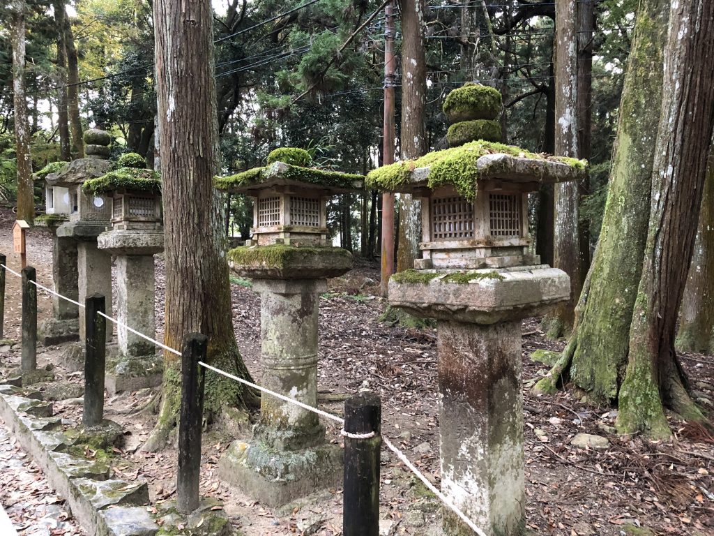 The stone lanterns lining the other side of the path.