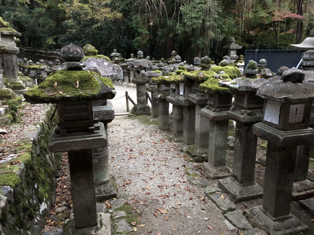 A garden full of mossy stone lanterns.