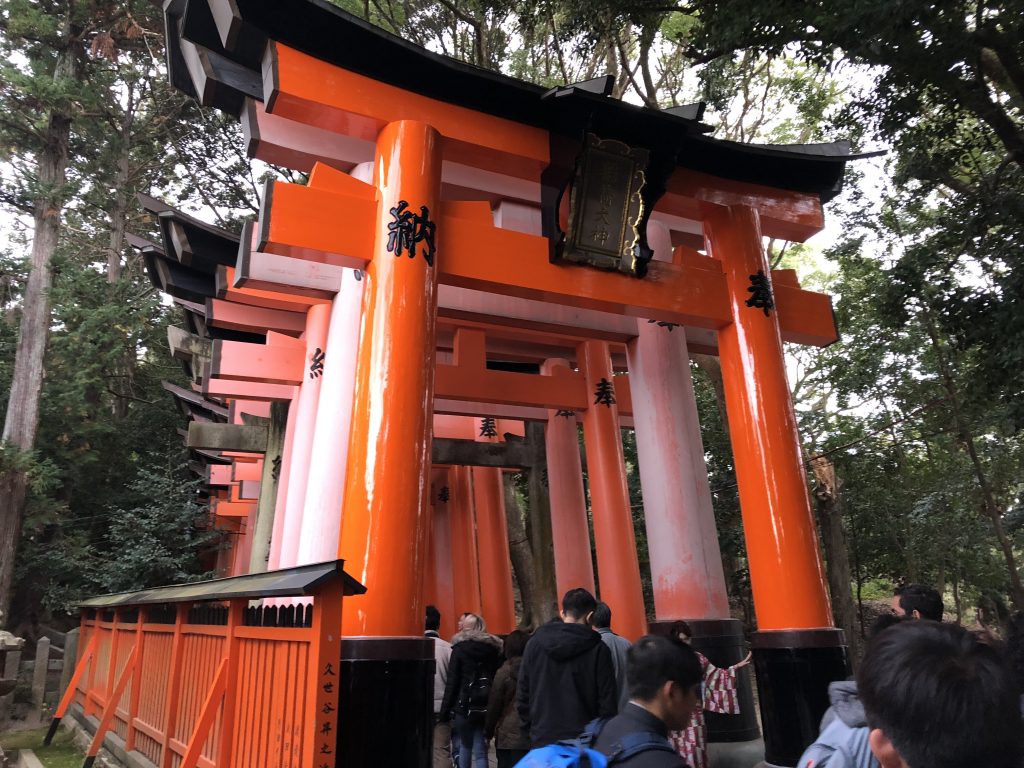 A front view of many torii back-to-back. There is about half a foot of space between each one, leading to a tunnel effect.