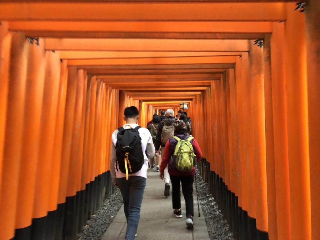 A photo of tourists walking through a tunnel of red torii gates.