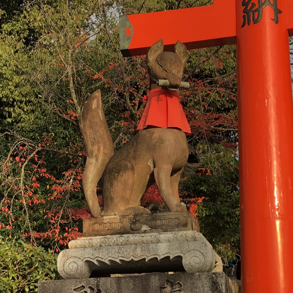 A stern stone fox statue holding a key in its mouth. It has a red bib around its neck and has a torii behind it.